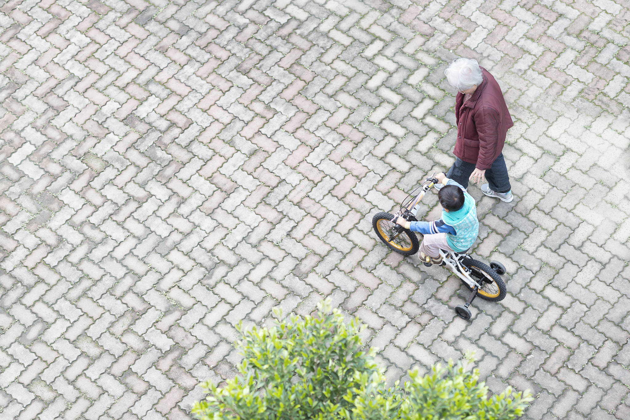 boy riding bicycle next to grandmother.