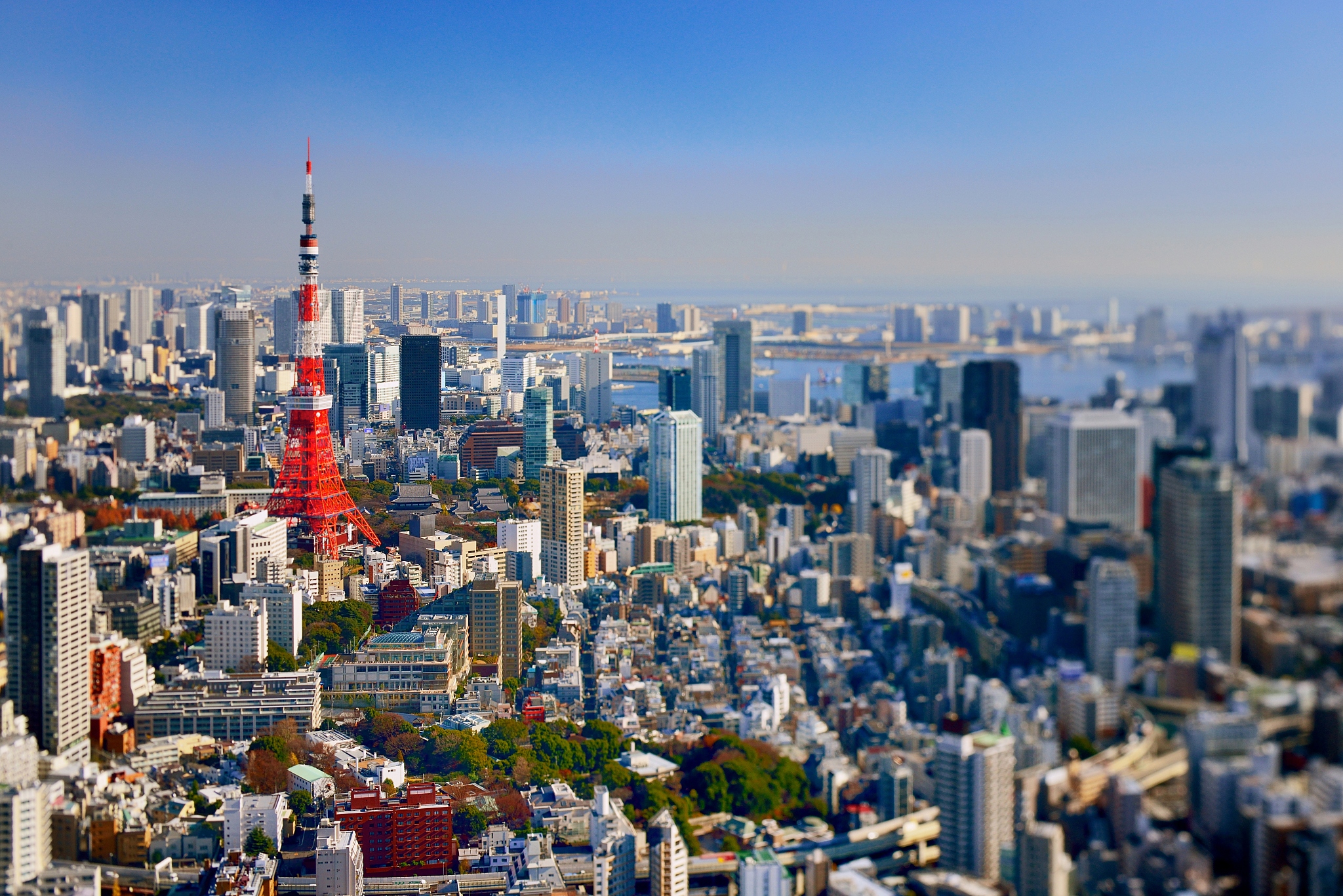 tokyo downtown at clear day