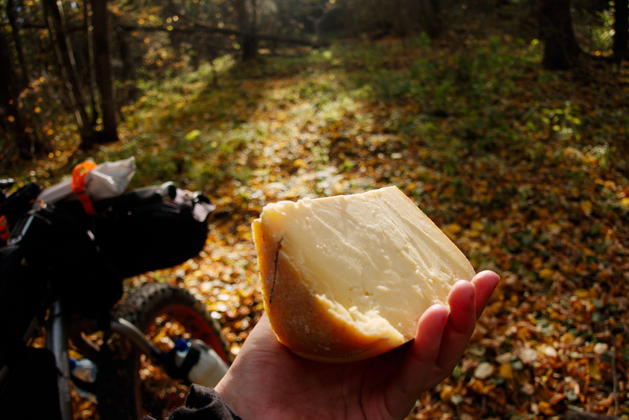 picnic in the forest in autumn. cycling travel. cheese. bikepack