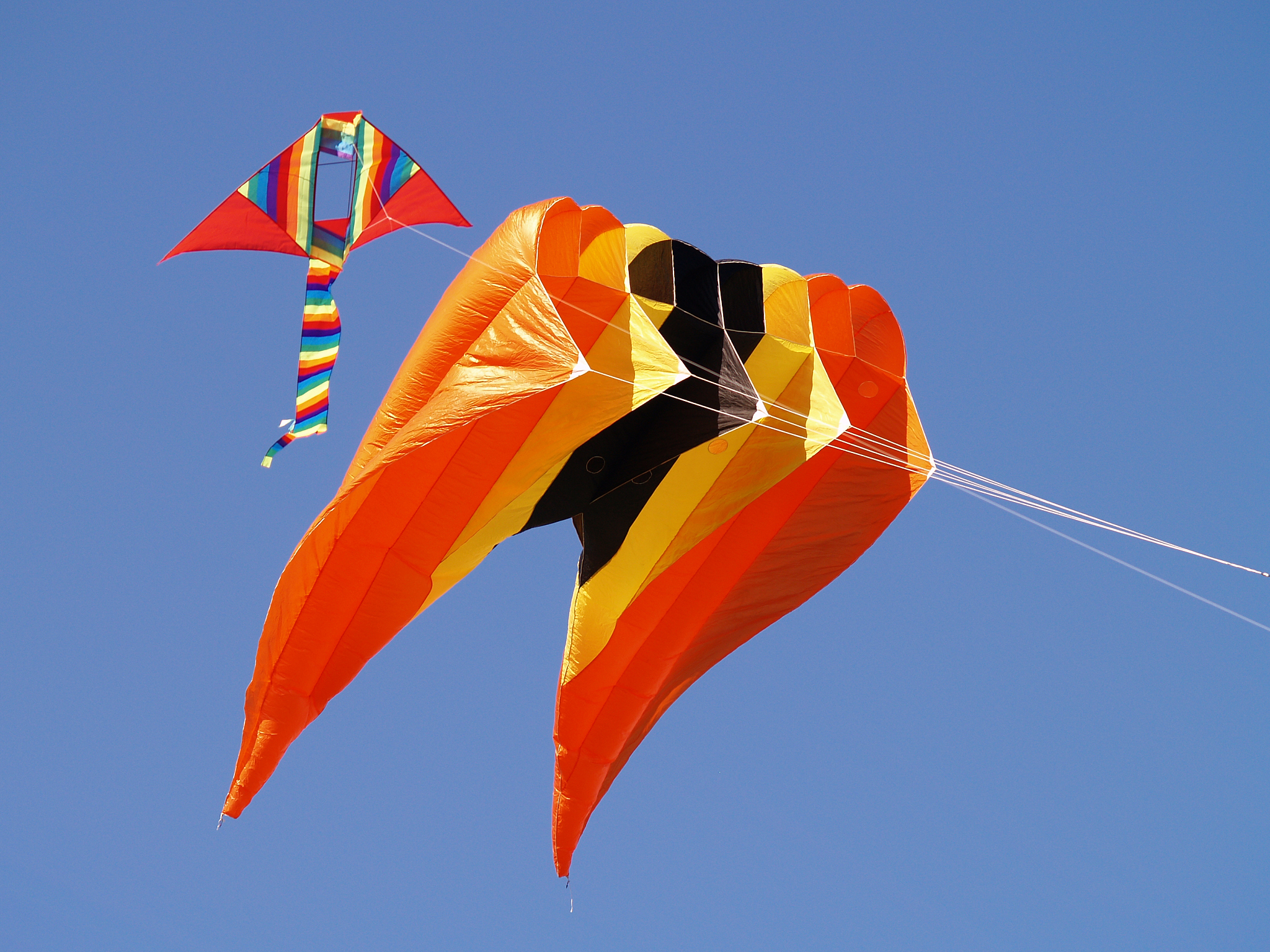 kites