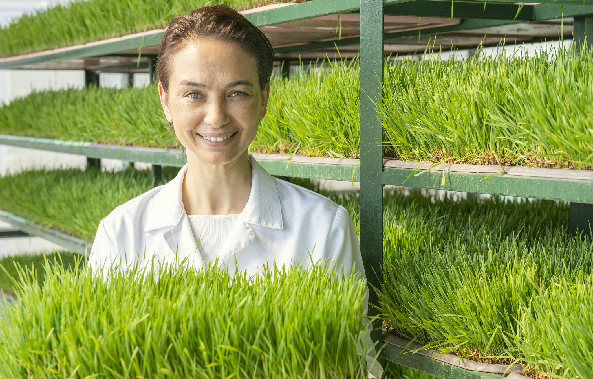 铃芽之旅：冒险、成长与自我发现的旅程