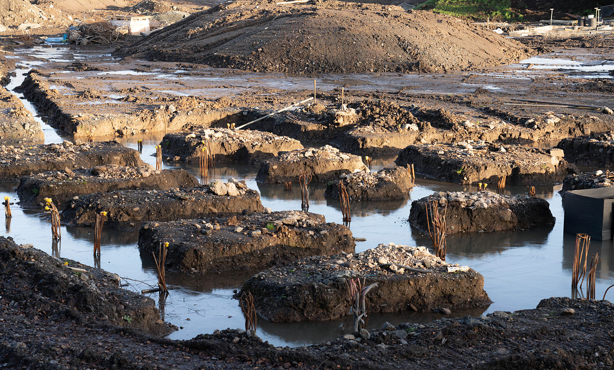 2020年重庆信息职业学院电子商务专业招生