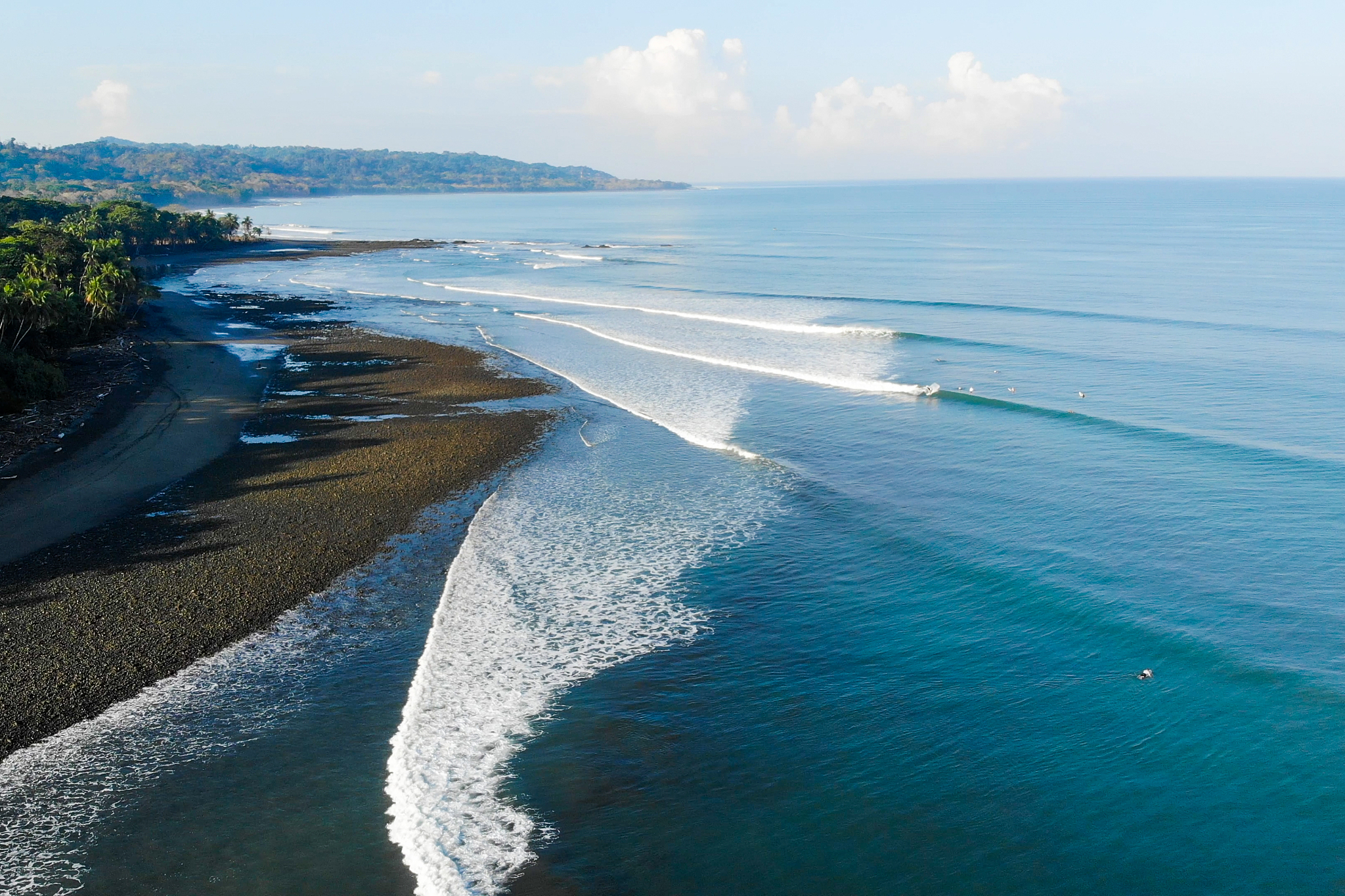 surfing