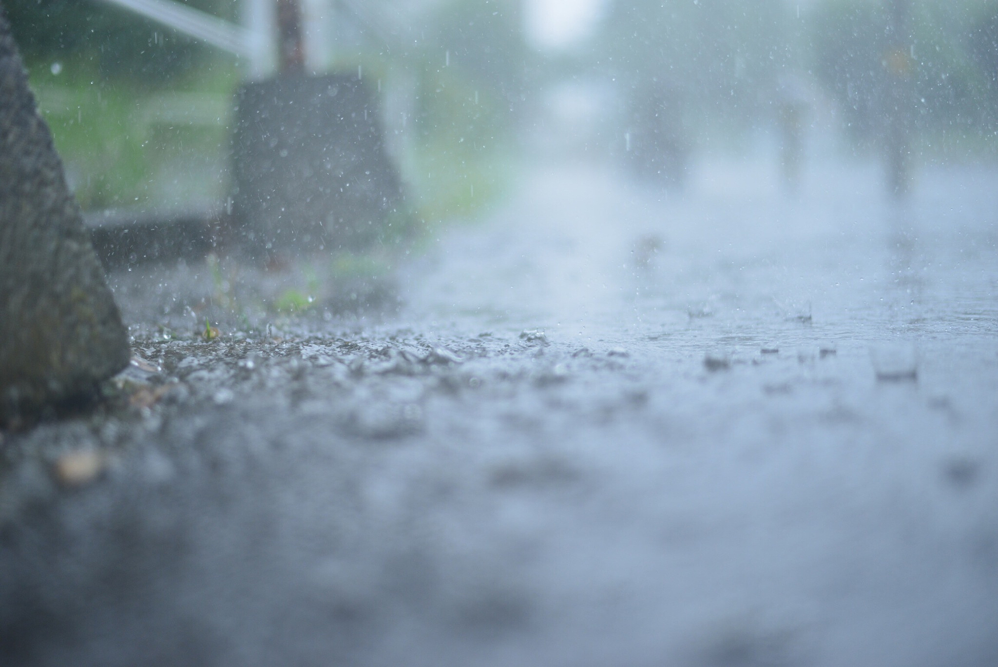 雨天里的诗意：小池的感受与思考