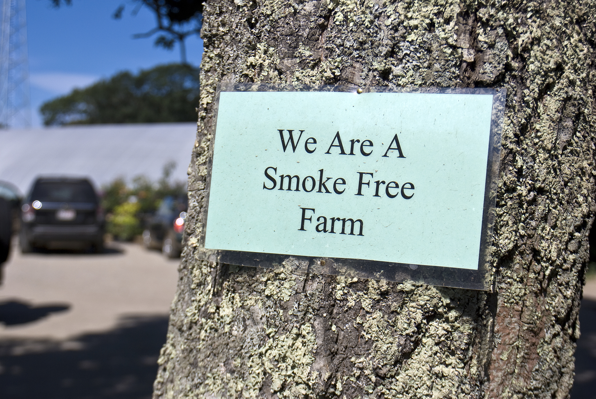 Cigarette Removal: A Guide to Quitting and Staying Smoke-Free