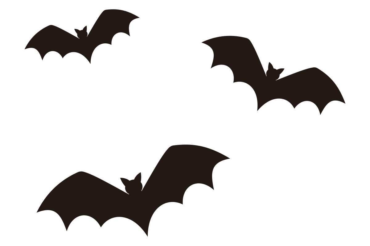 吃蝙蝠的文化：世界各地哪些国家有食用蝙蝠的习俗？