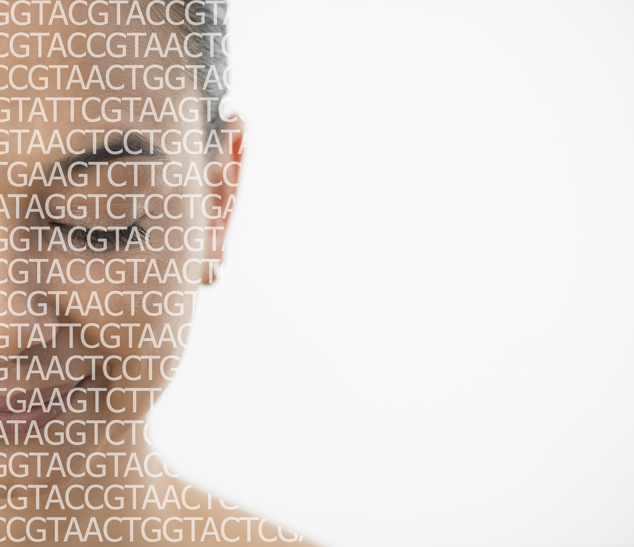 细胞增殖中DNA、染色体和染色单体的关系