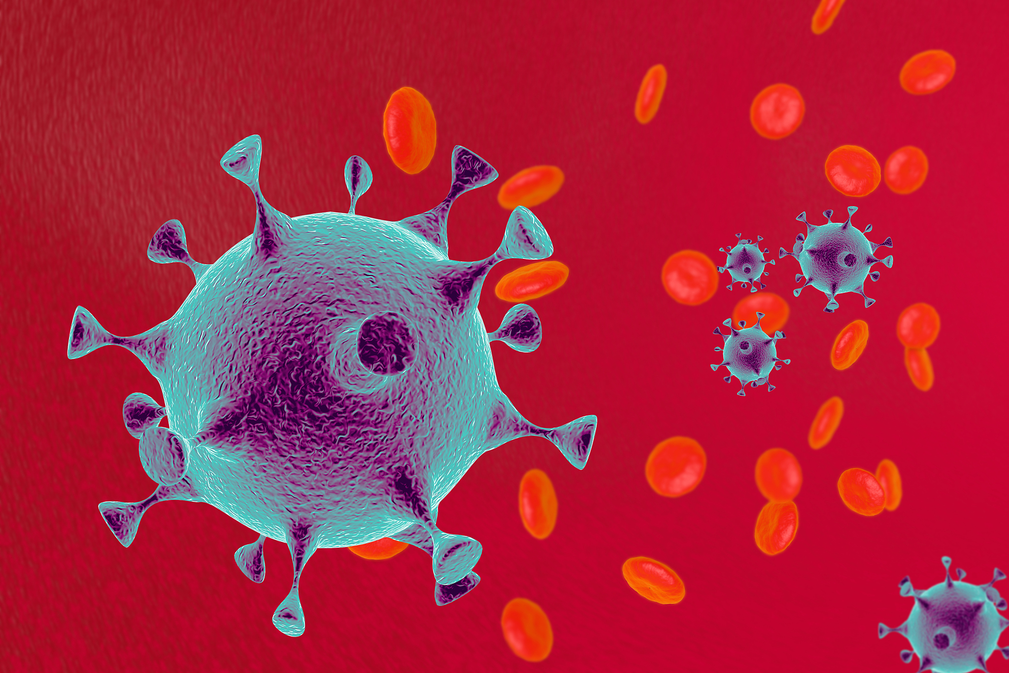 智力水平高低有什么决定