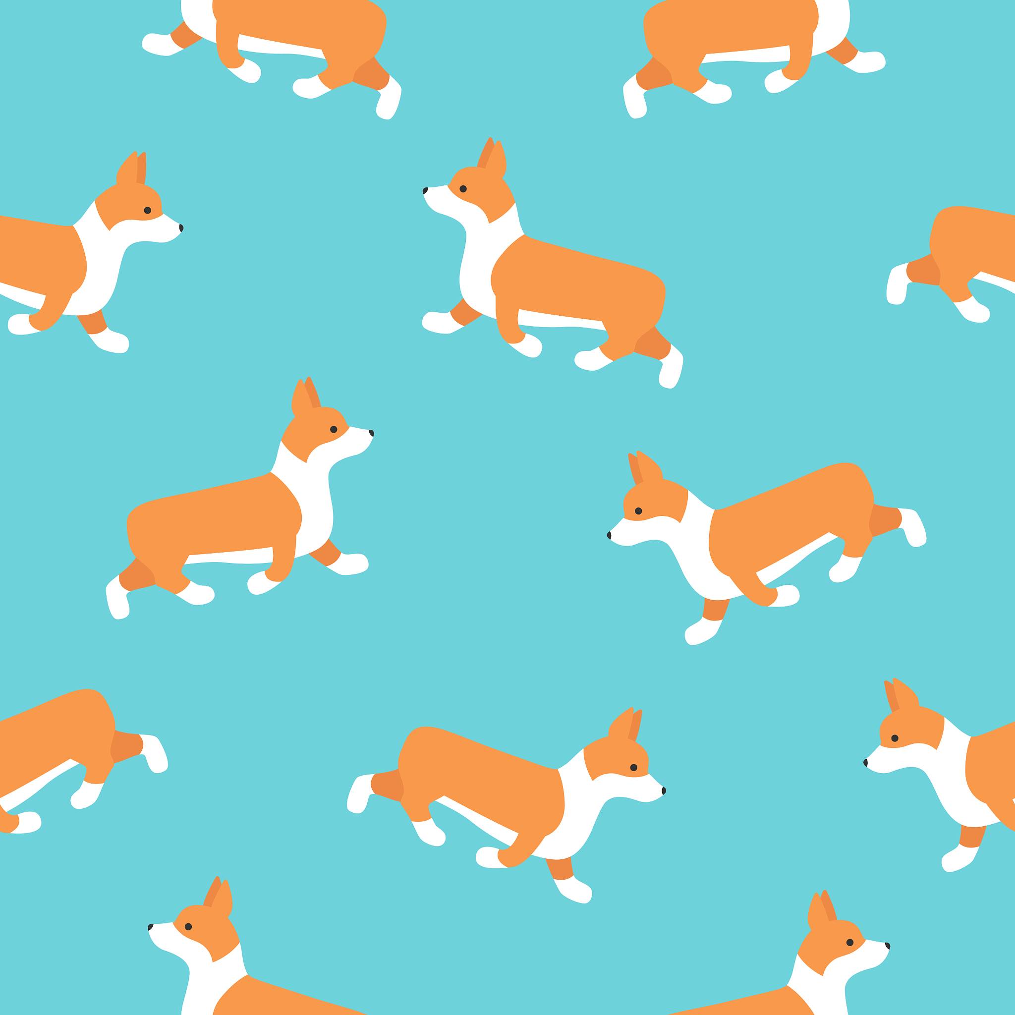 Do Corgis Have Tails用西班牙语怎么说