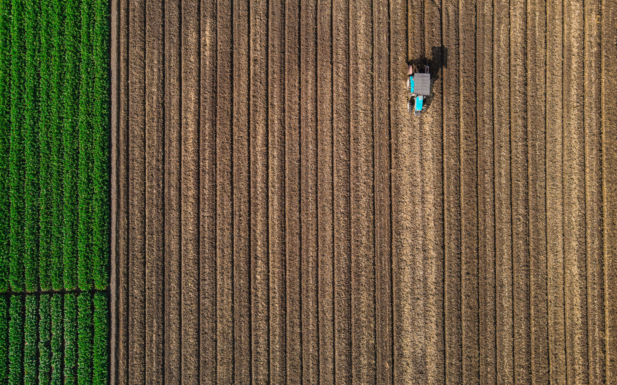 魔幻手机沙暴谁复制的回答加拓展。