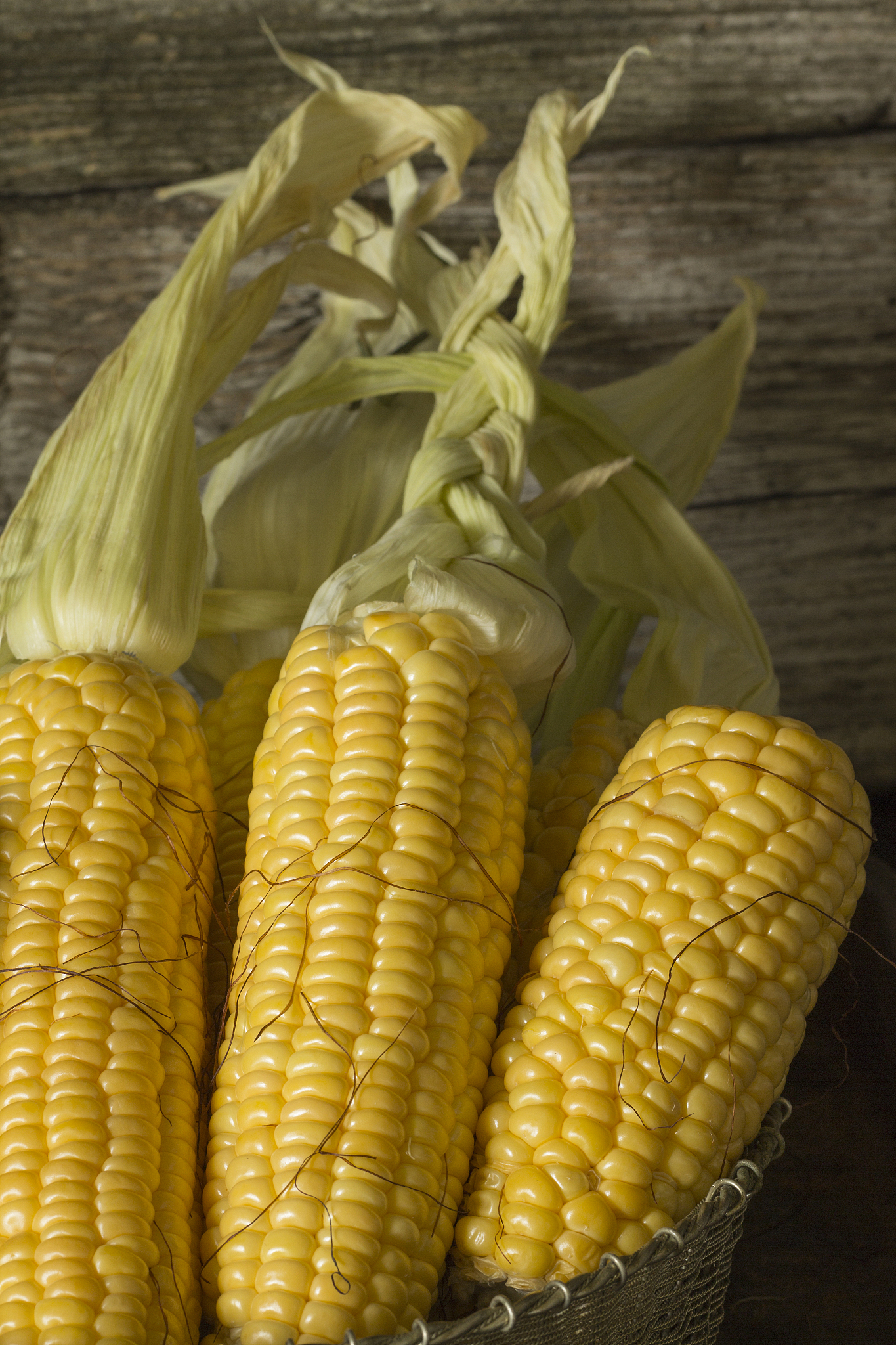 兰州园艺学校种子生产与经营专业：就业前景及发展方向