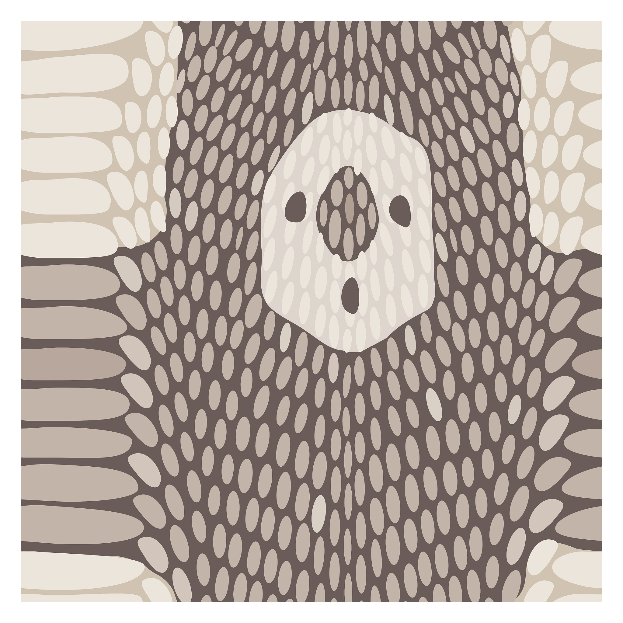 Usage pip uninstall options package pip uninstall options -r requirements file no such option --ignore-installed