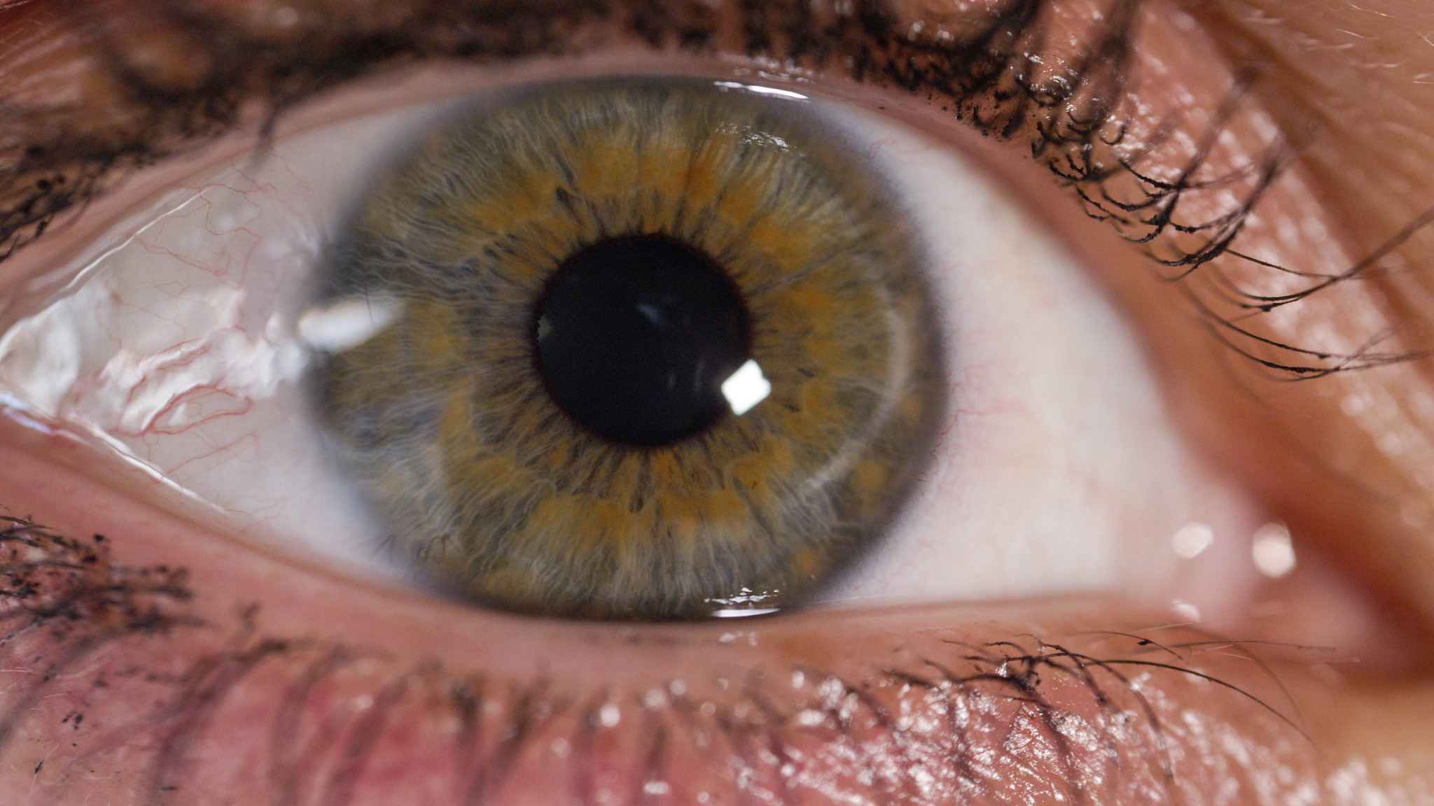 close up: female eye pupil contracting as she is looking around 
