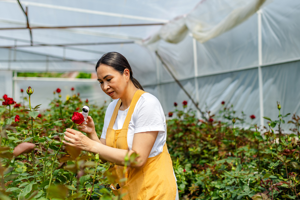 贵州省农业广播电视学校果蔬花卉生产技术专业怎么样？就业前景分析