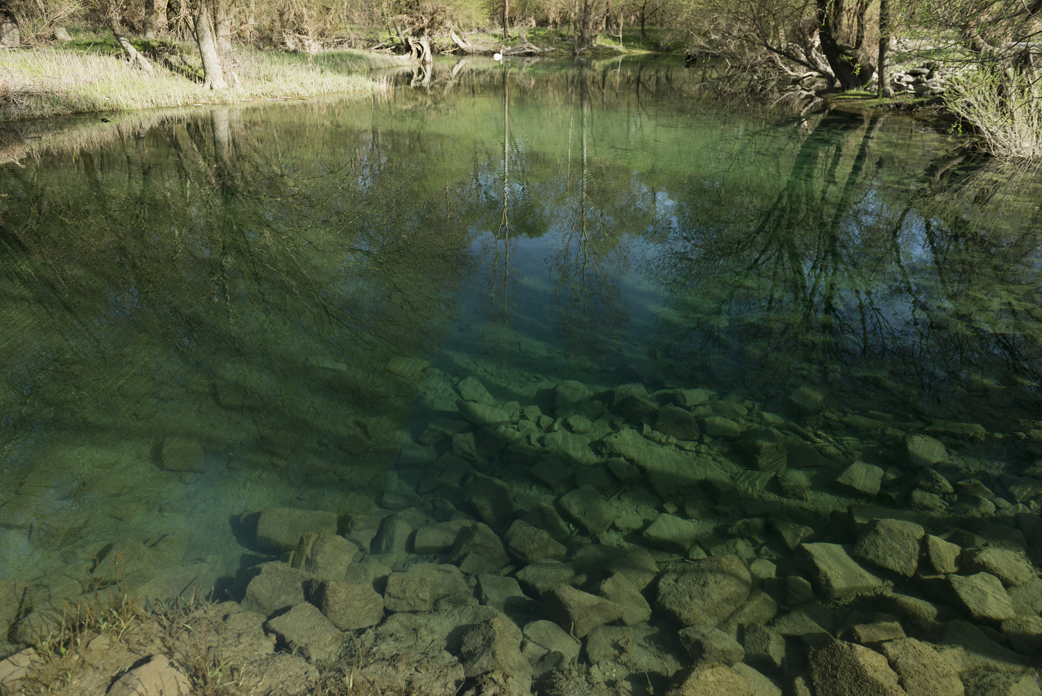 water surface
