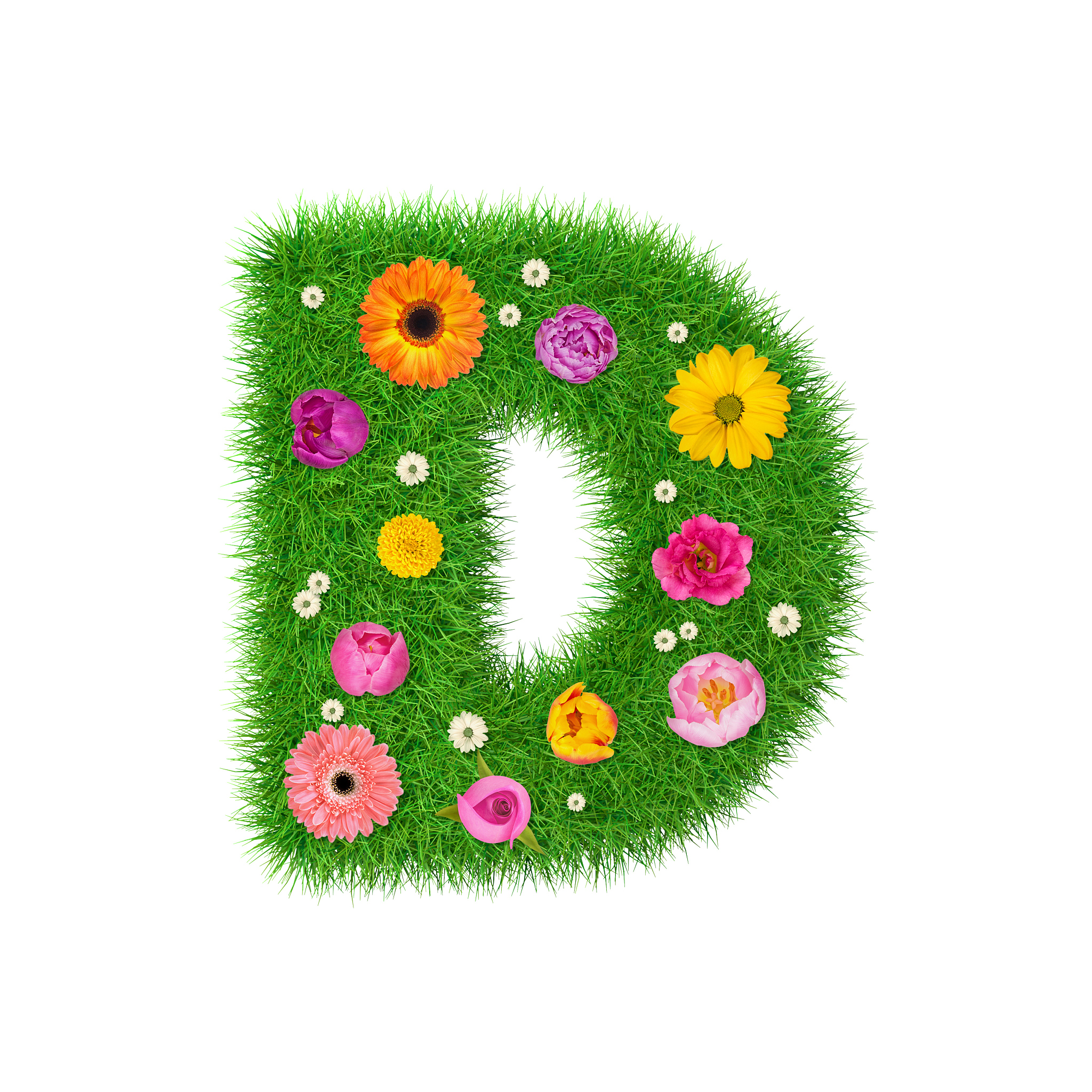 letter d made of grass and colorful flowers, spring concept for 