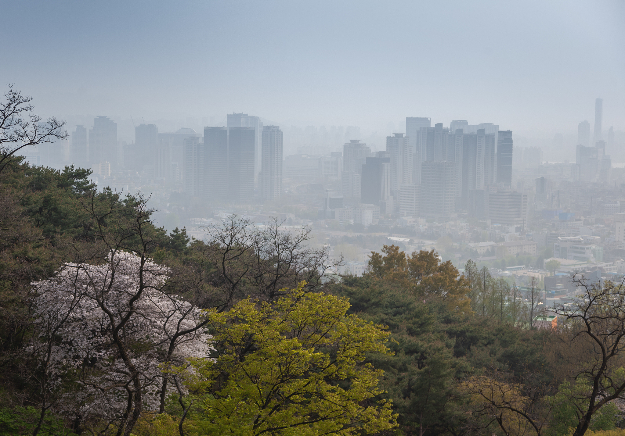 大学数码摄影与摄像：画面构图、景别、拍摄角度技巧总结