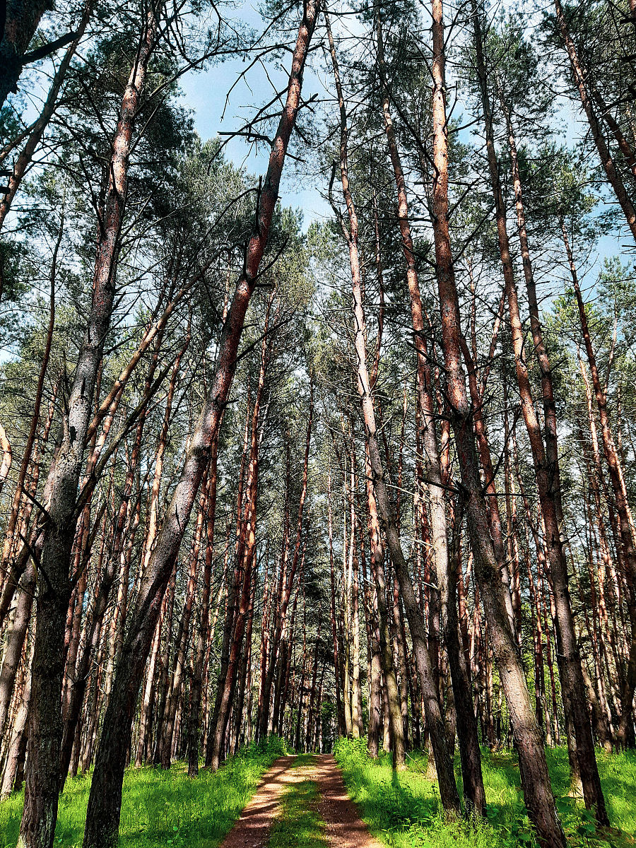 山西林业职业技术学院森林生态旅游专业