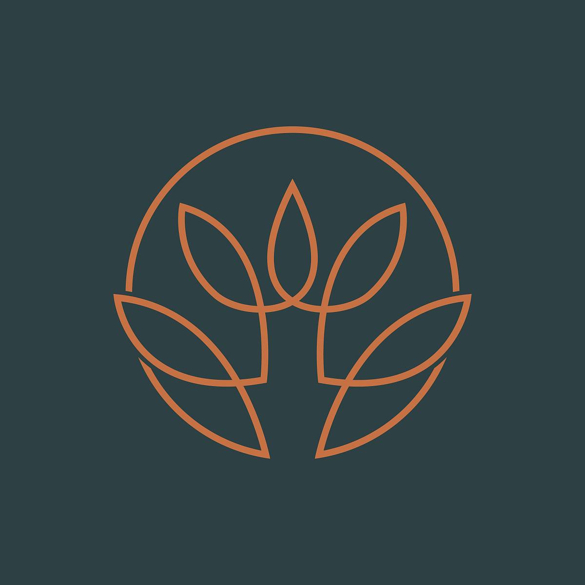 曼洛古树普洱生茶Logo设计方案