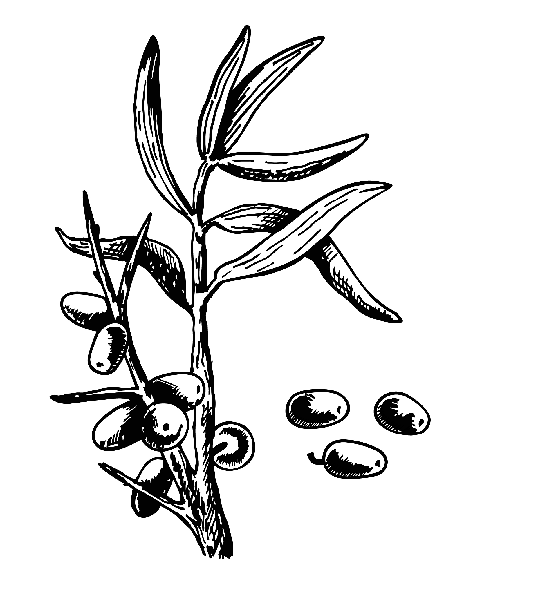 鼎鑫鲜榨沙棘果汁可以降低血脂吗？