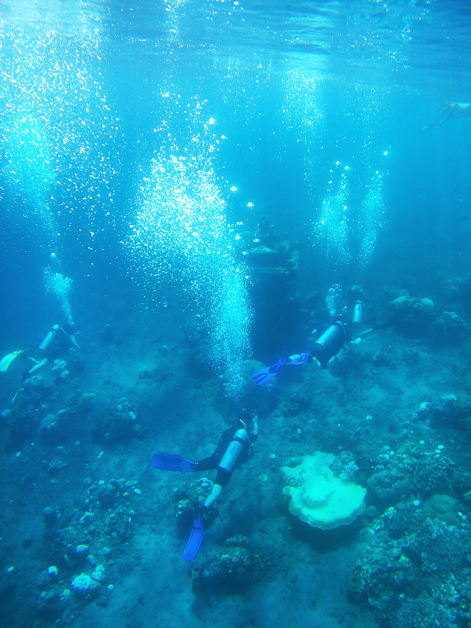 diver in deep blue sea