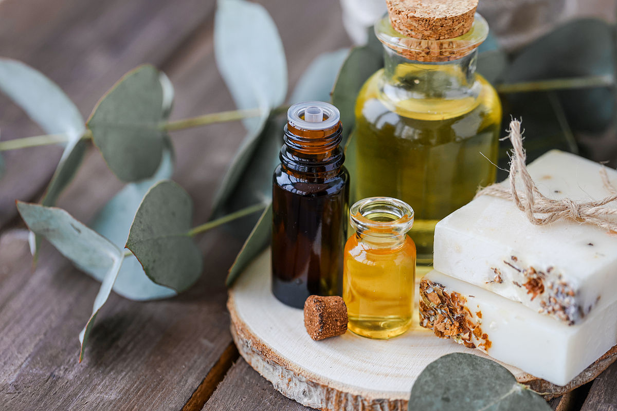 铁岭卫生职业学院医学美容技术专业就业前景如何