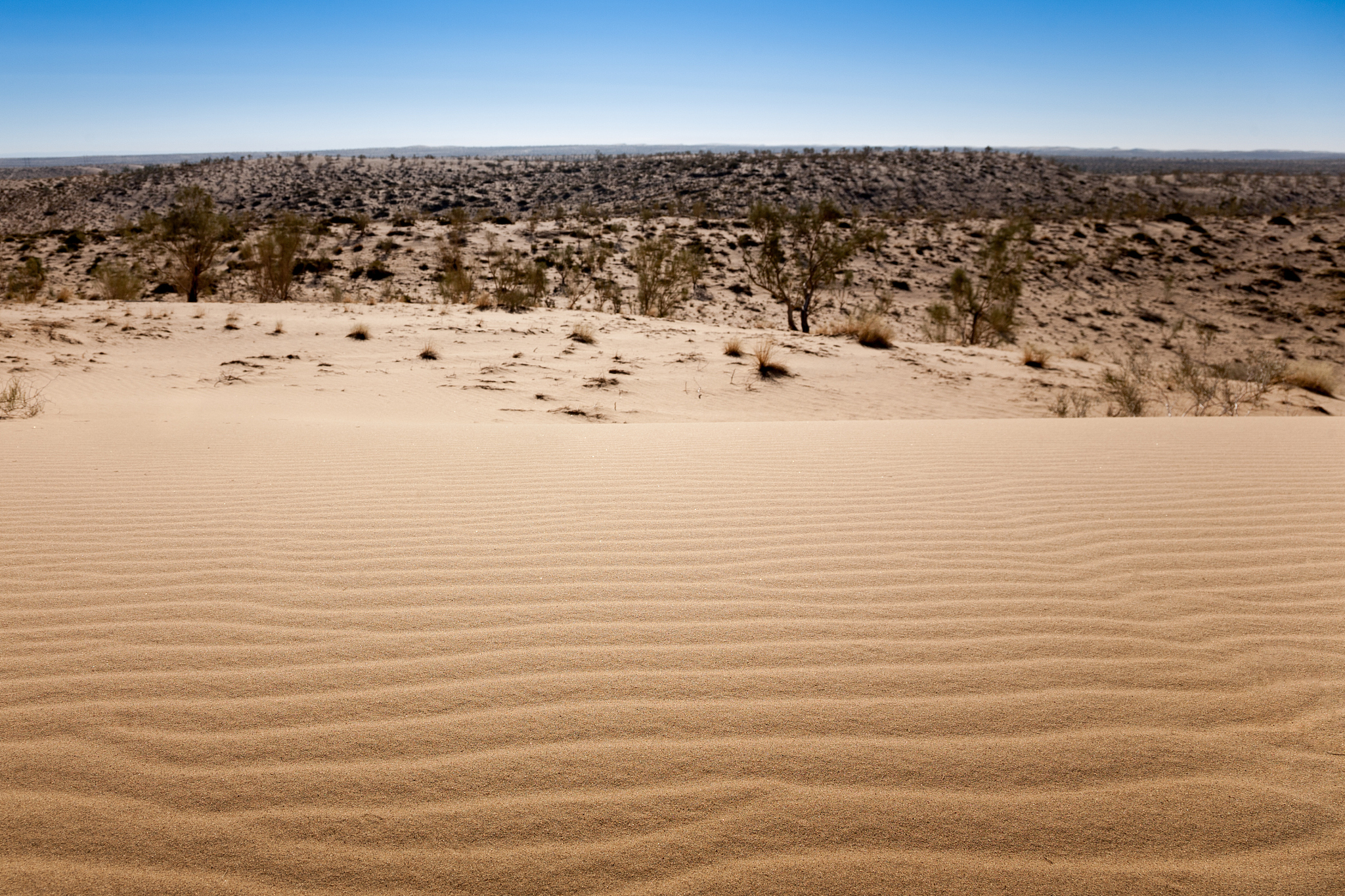 in the desert