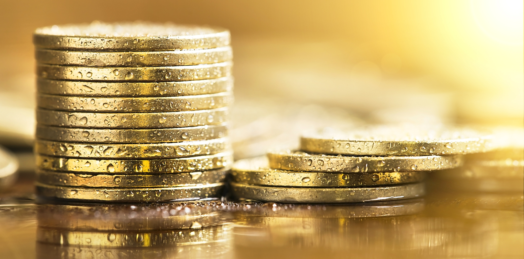 save money - golden coins banner