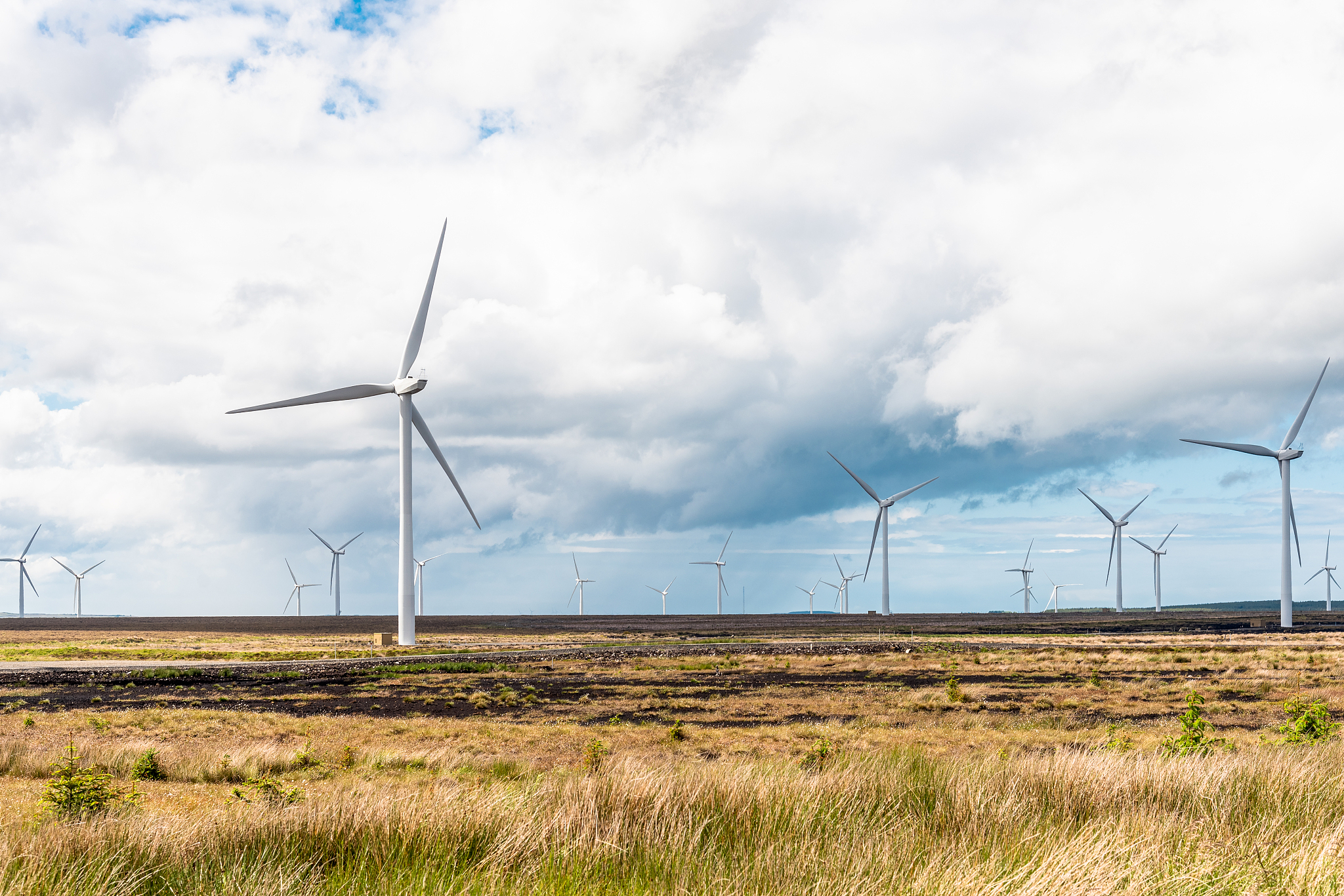 写一篇关于风的少年---左傅源的新闻特写
