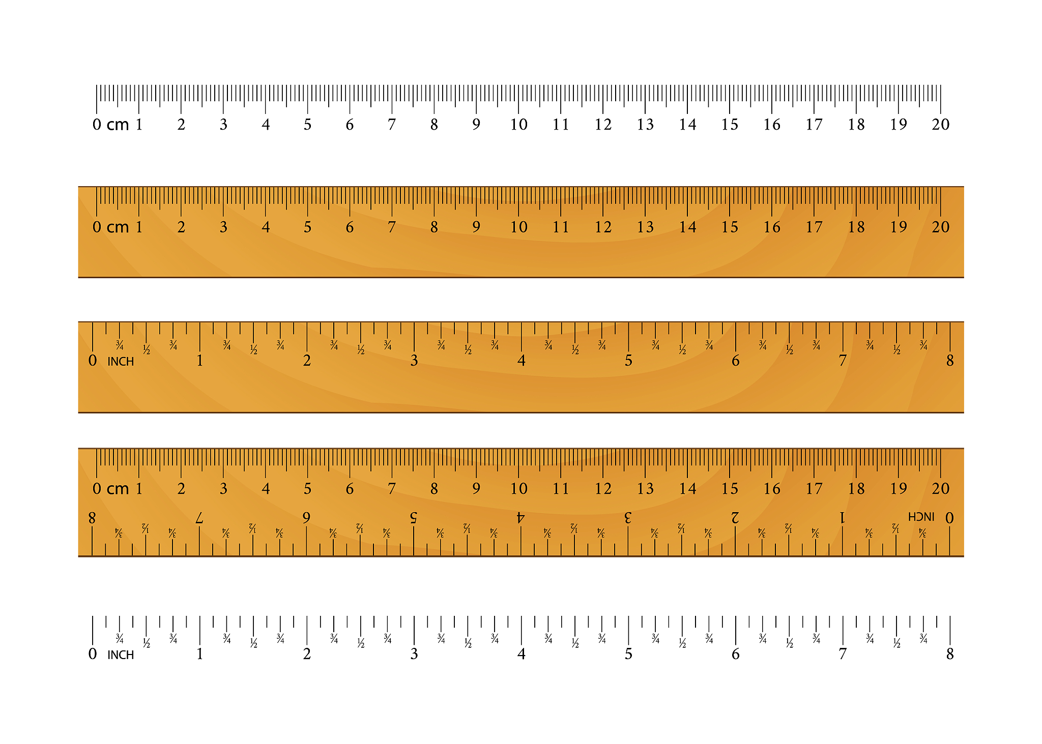 realistic wooden ruler. metric imperial rulers. centimeter and i