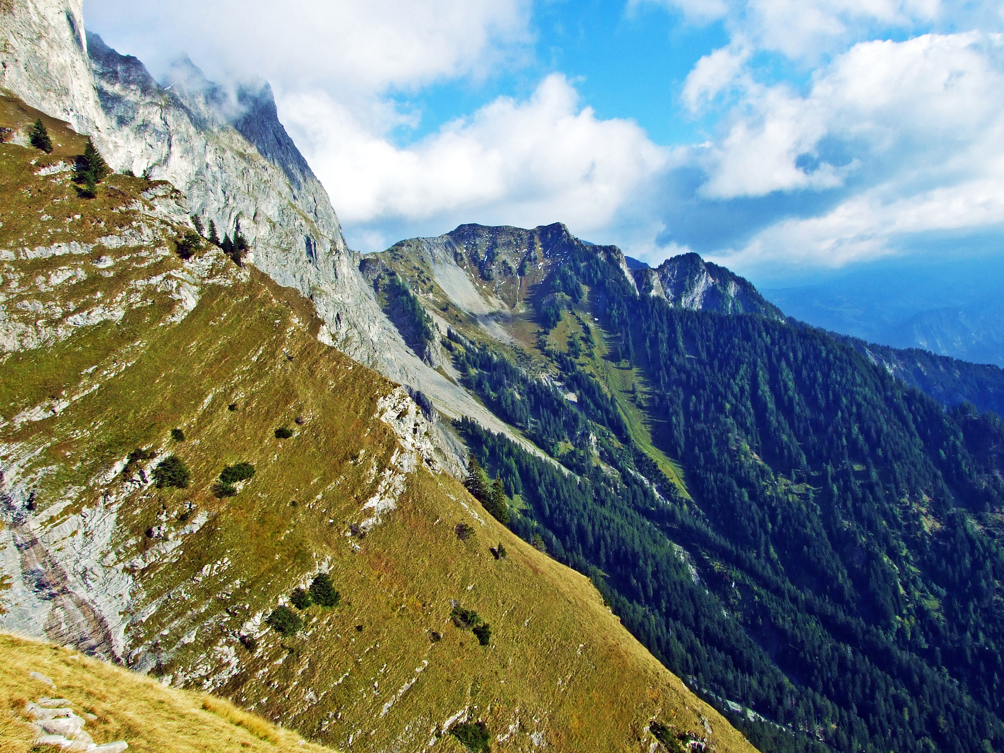 广州城市职业技工学校会计有前途吗？需满足哪些招生条件-好不好