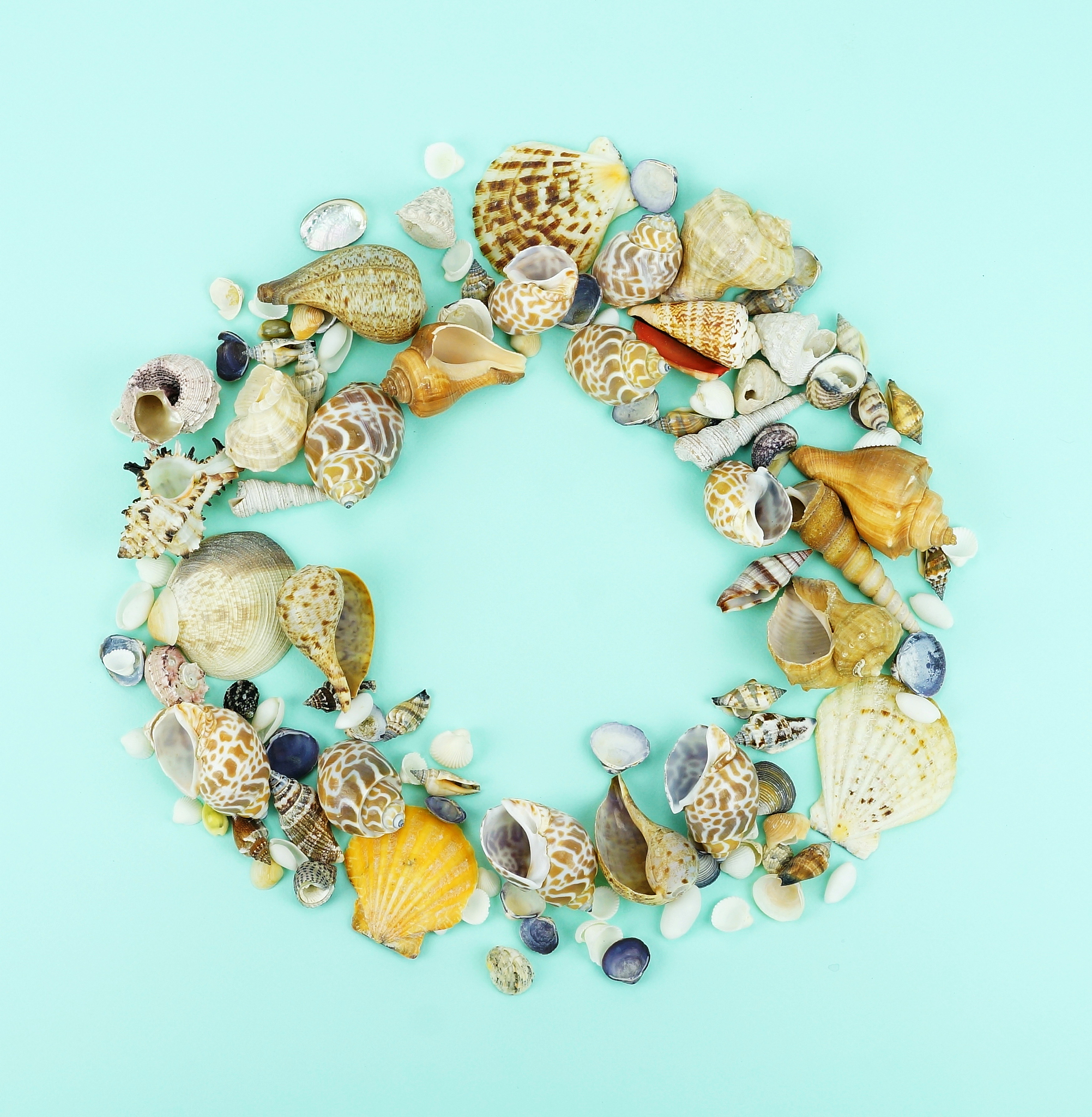 Pandora推出小美人鱼系列首饰，开启海洋浪漫之旅