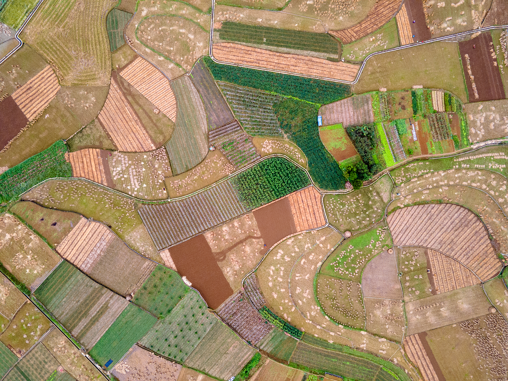 5个引人入胜的宣传片脚本示例，带你感受视觉盛宴！