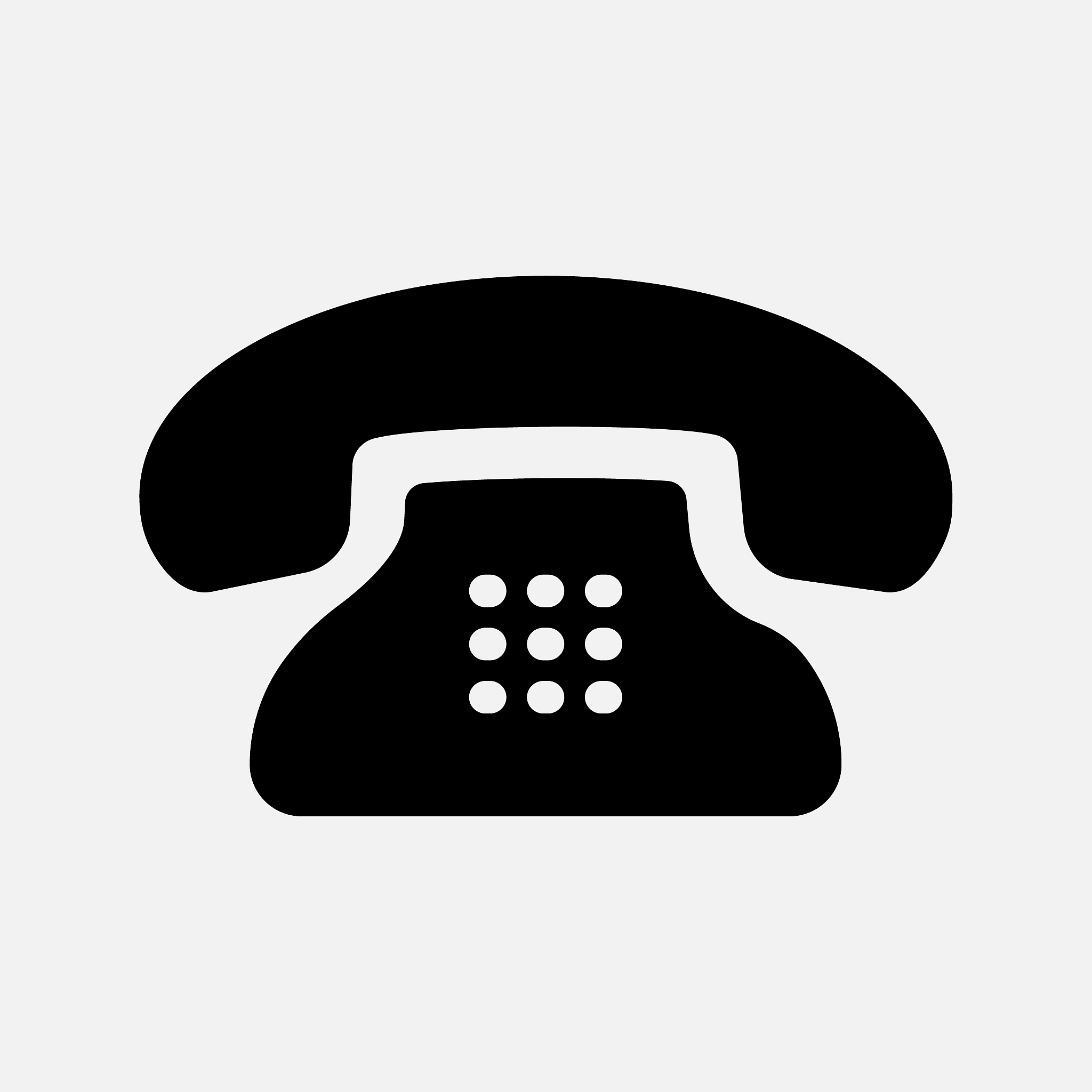 phone icon