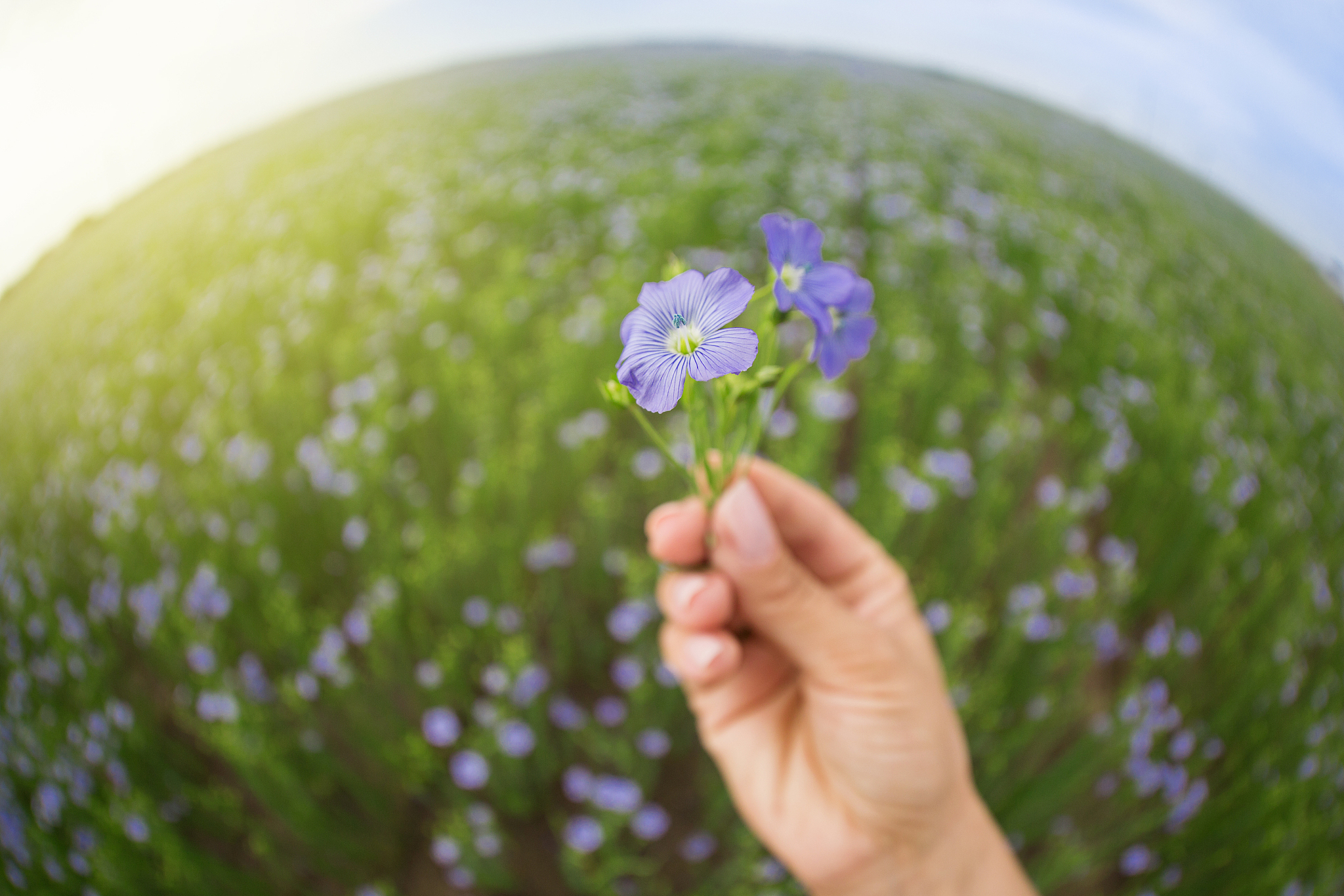幸福的真谛：感受生活，拥抱快乐
