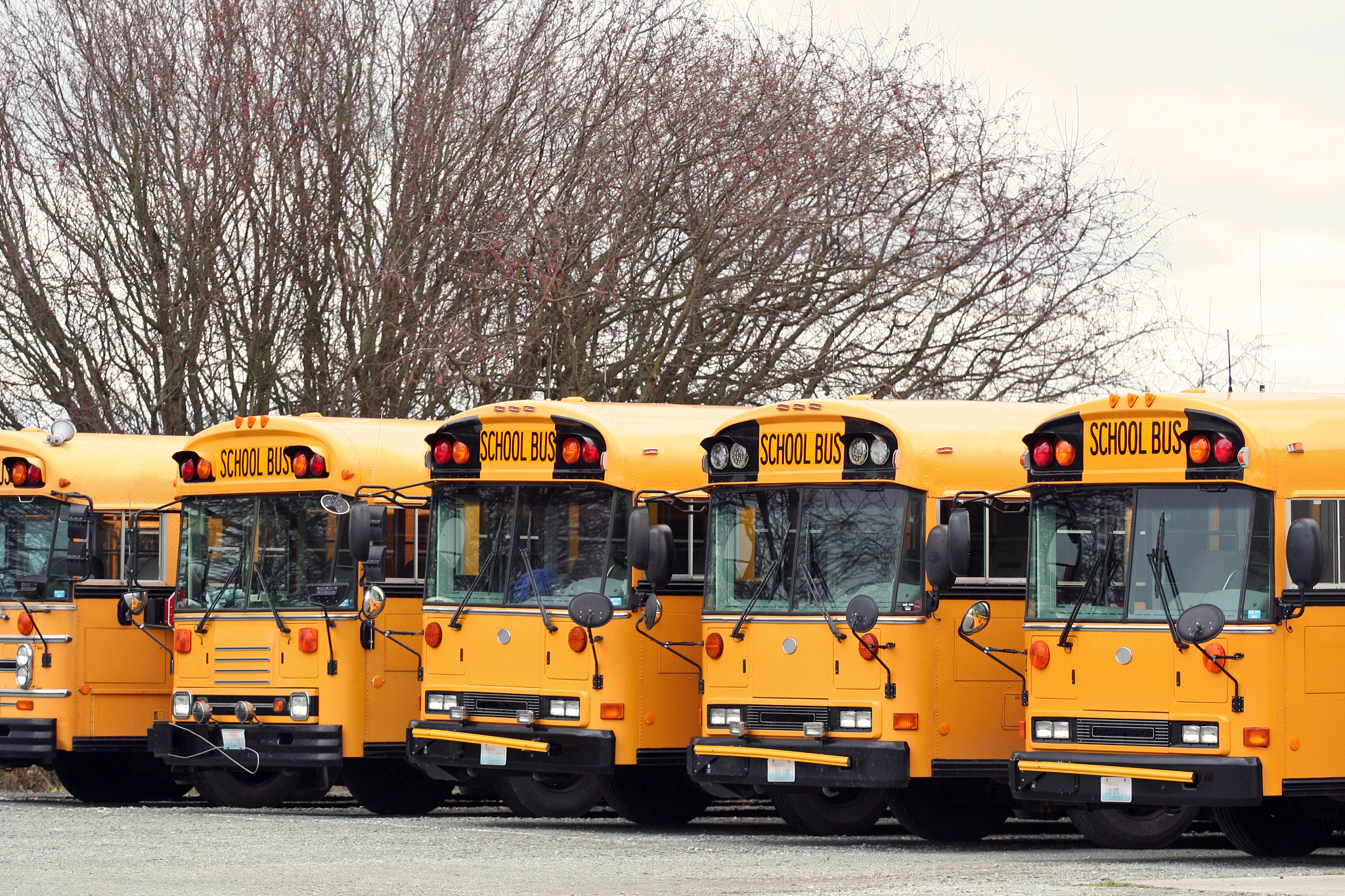 学新能源汽车技术哪个学校好？