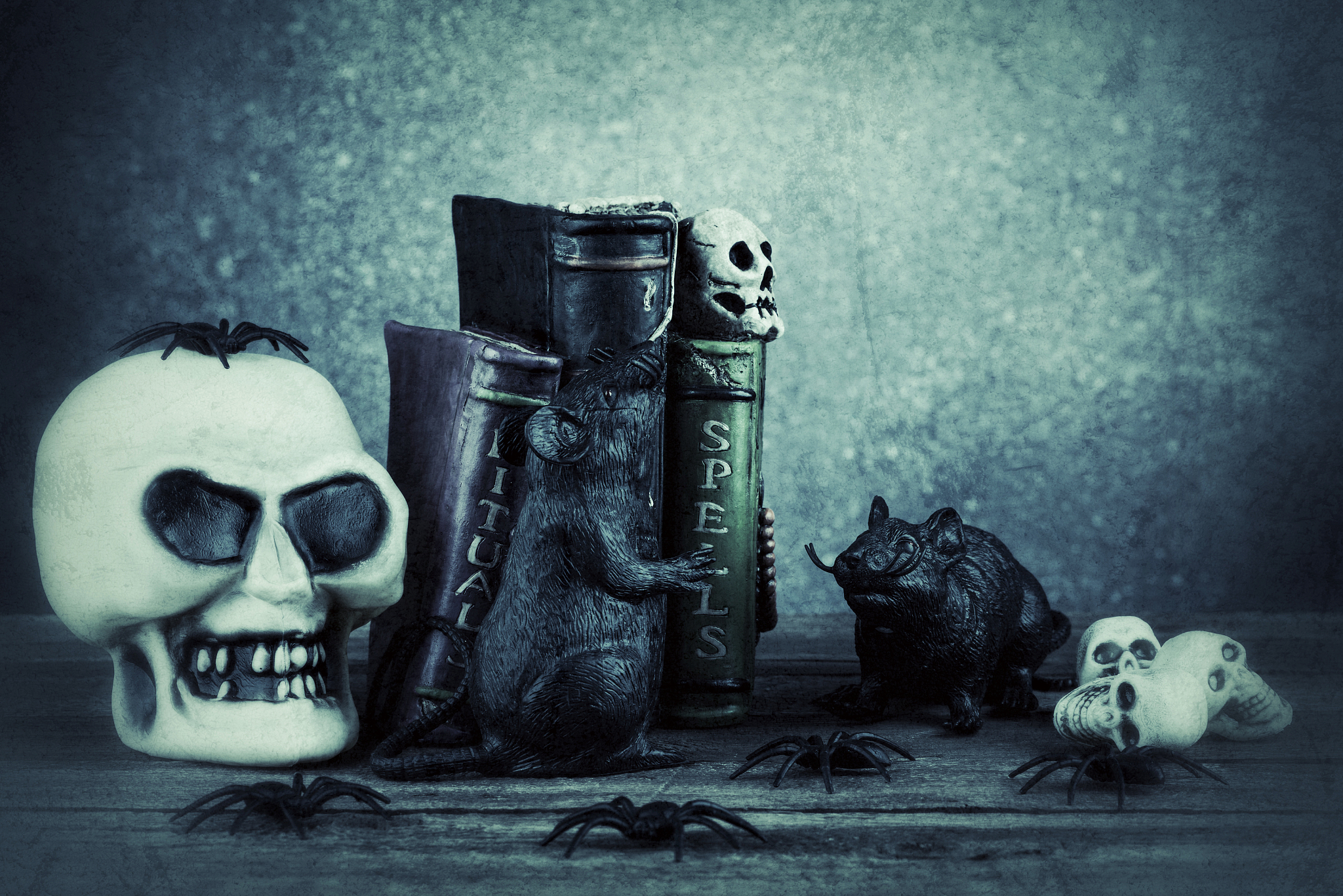 halloween skulls and witch craft books