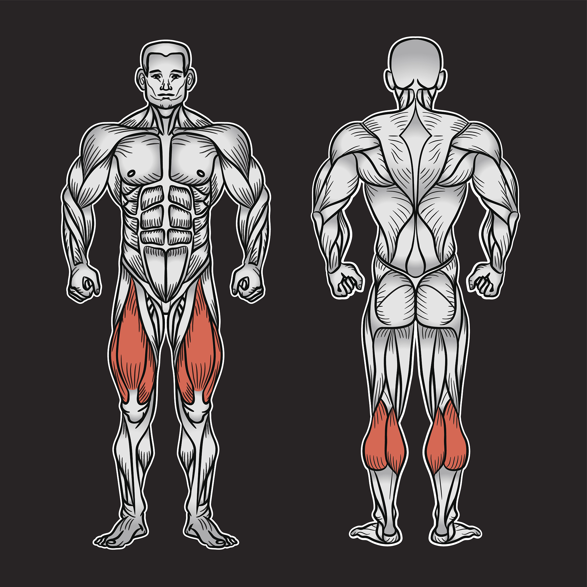 自然健身肌肉生长极限，