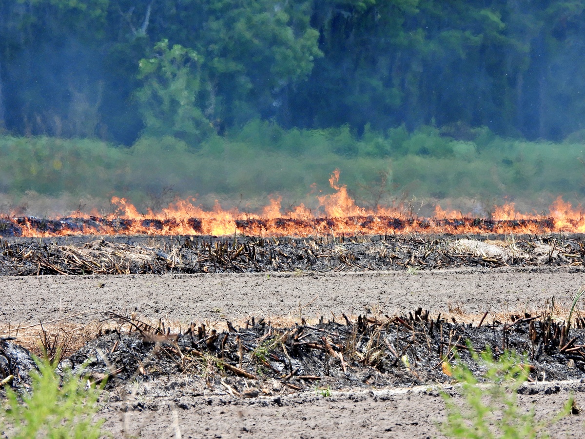 内蒙古近年来的特大灾害