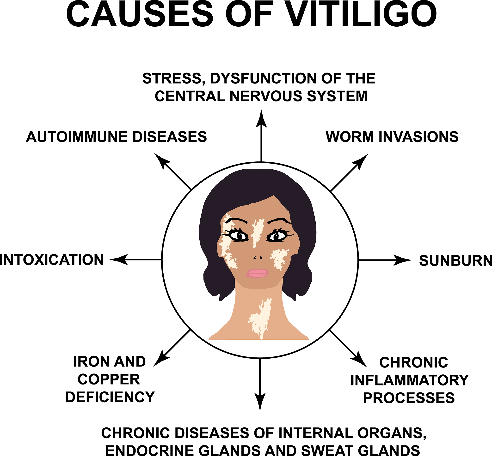 BrowInnerUp: 人体面部翻译技术，提升表情，改善眉毛形状
