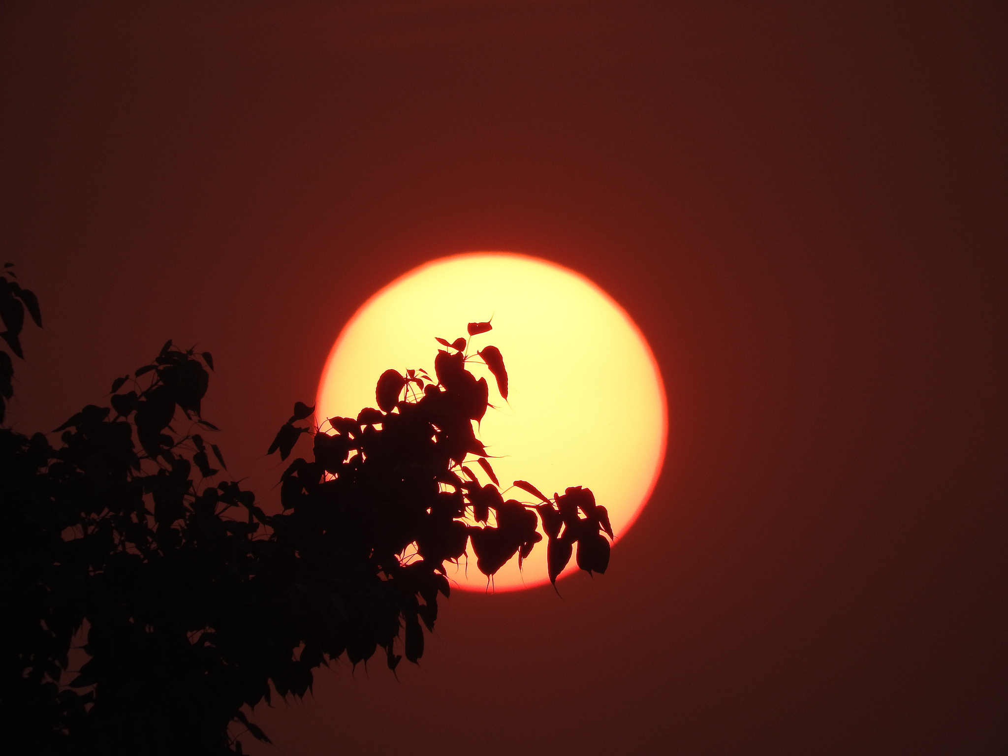 夕阳 晓月对仗 诗句