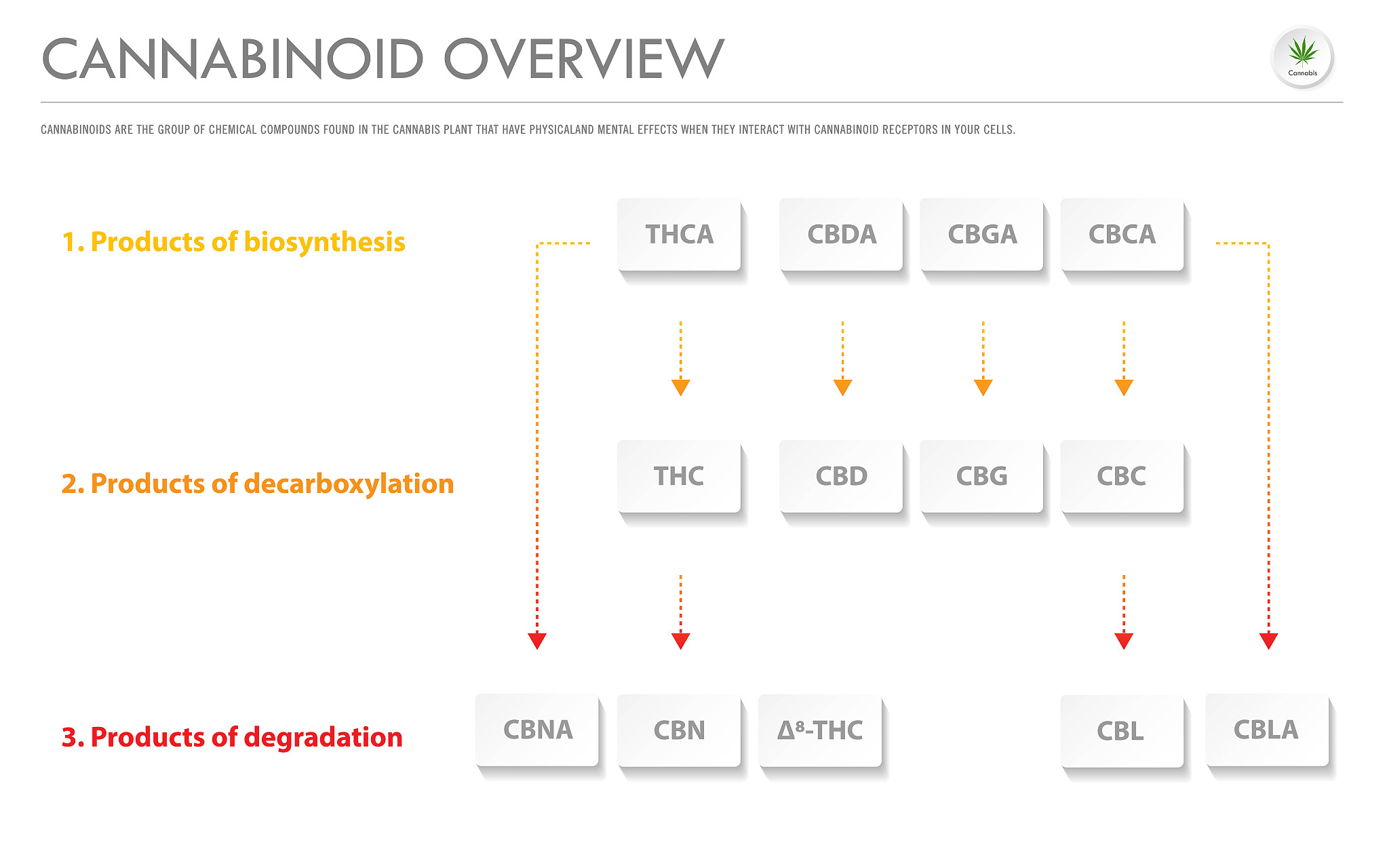 Pandas DataFrame 聚合操作：使用 agg 和 groupby 函数进行多列自定义聚合