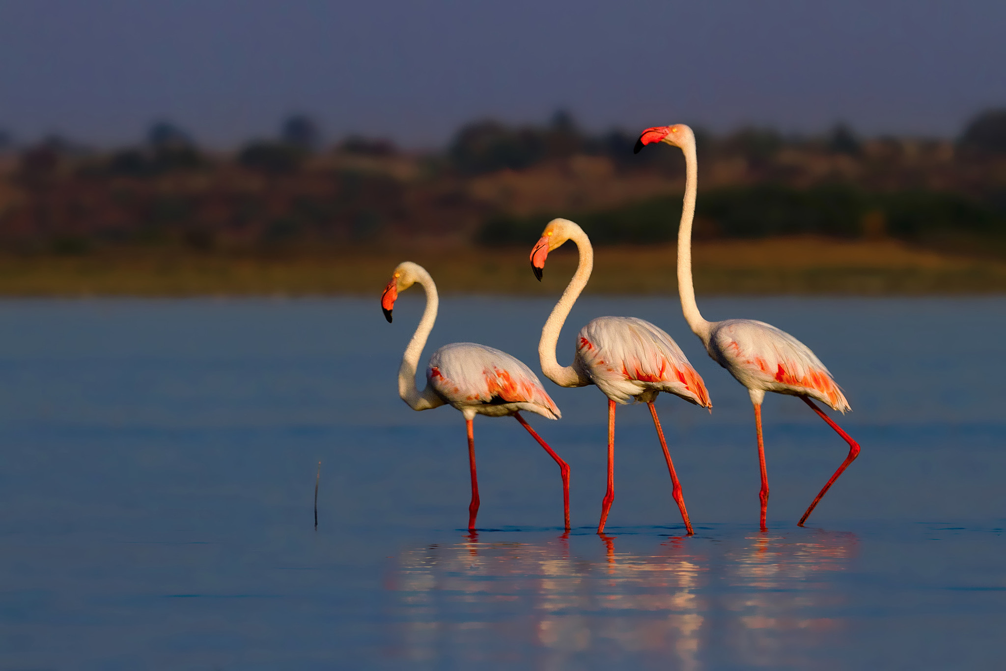 黄冈劳动中等专业学校3+2专业有哪些？