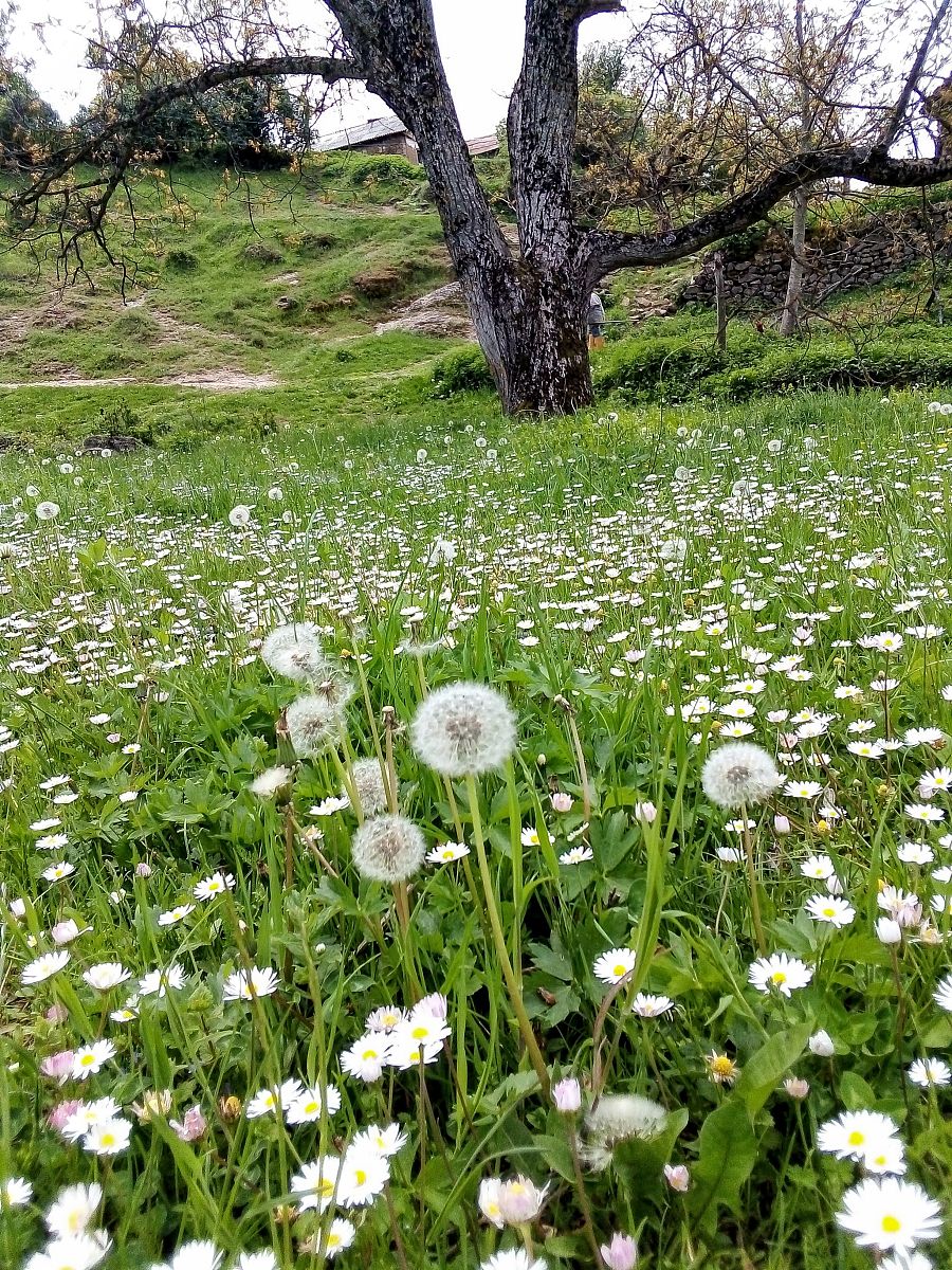 我发现了一种特别的美 写一篇300字小学作文