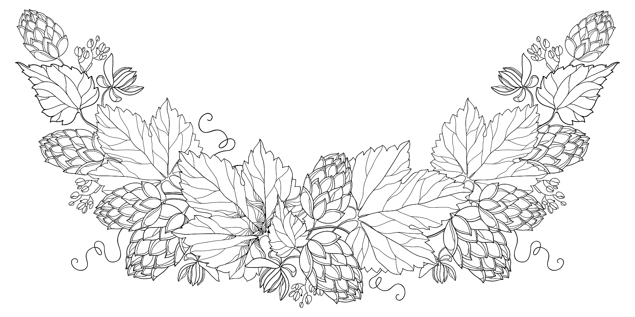 vector round bunch of outline hop with leaf, cones and flower in