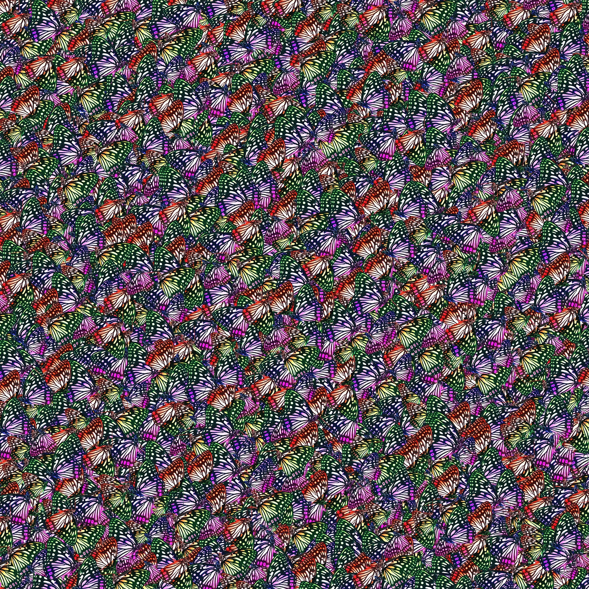 用matlab读取BMP格式的图像为什么是个三维数组？