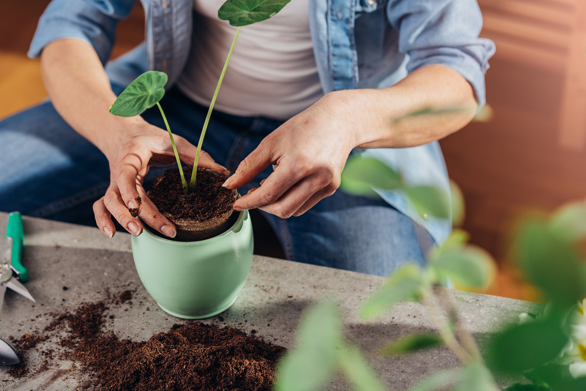 楚雄农业学校2022年果蔬花卉生产技术专业招生简章