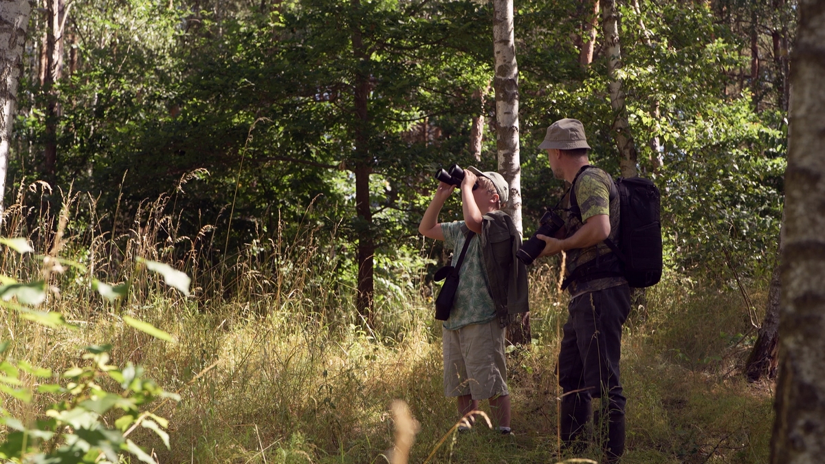 户外生存技巧与野外求生知识：安全探险的必备指南