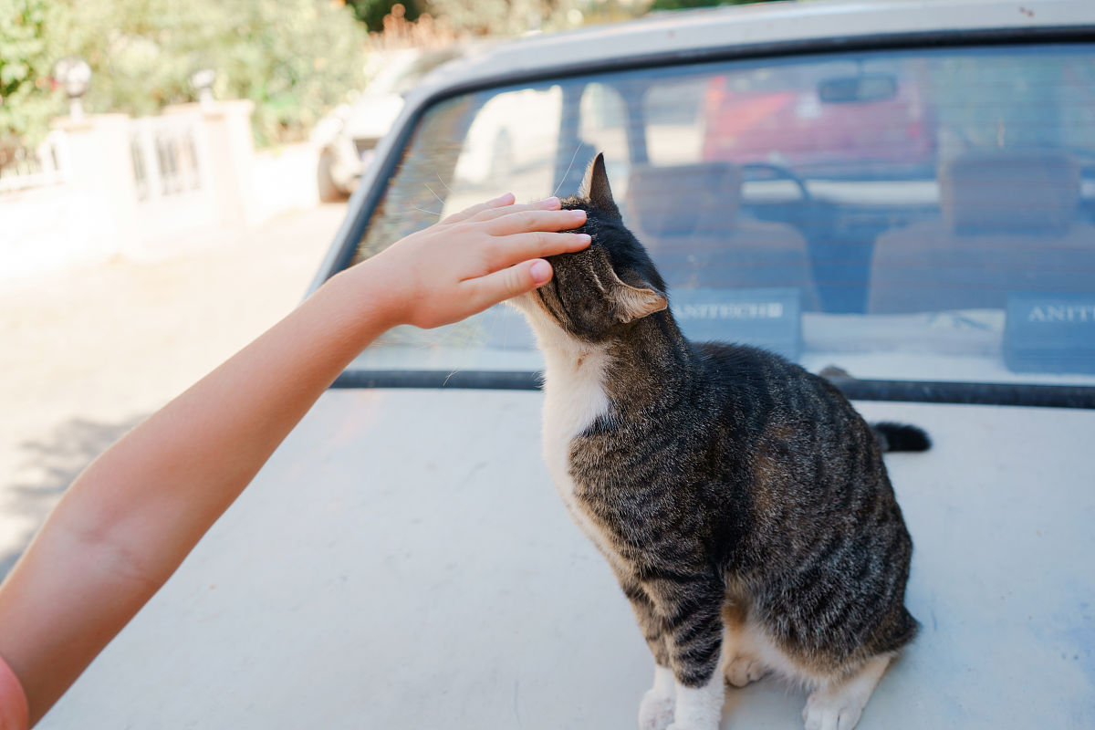 四川学前教育专业报考指南：就业前景、学习难度、薪资待遇分析
