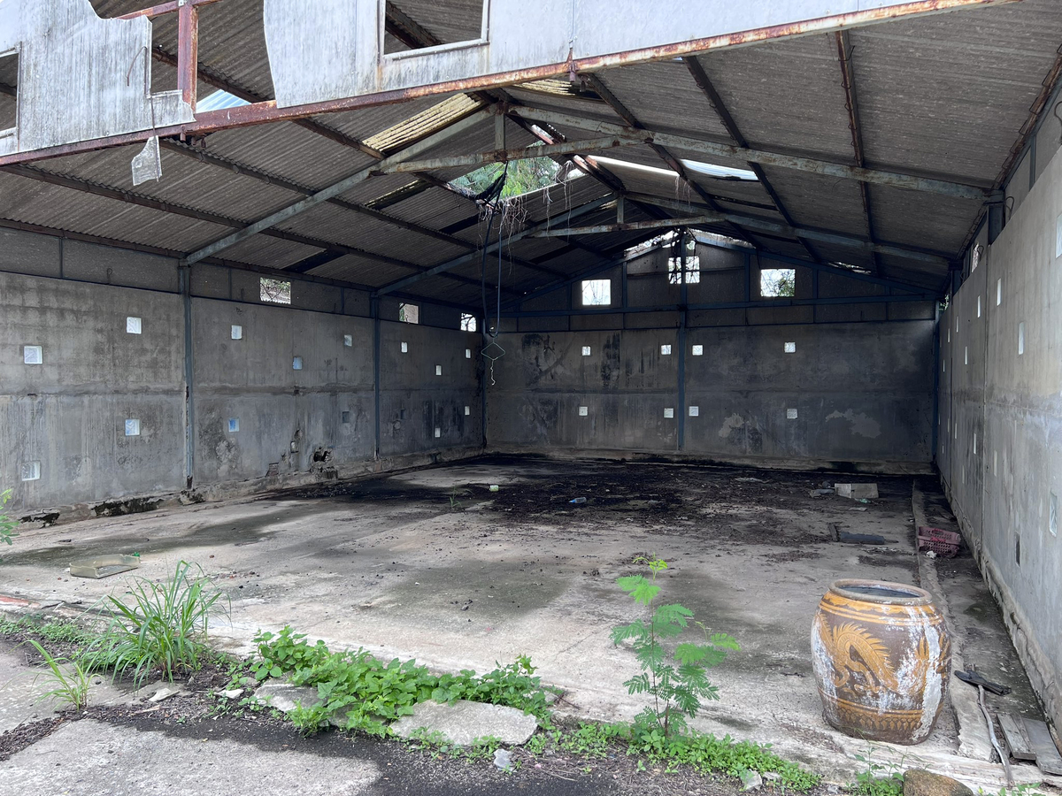 鸡舍又可以叫什么